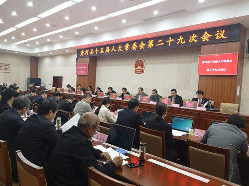 唐河县人大常委会第二十九次会议 2.jpg