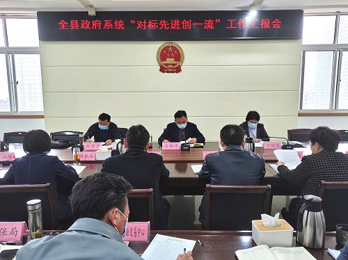 唐河县政府系统第六批12个单位“对标先进创一流”工作汇报会召开.jpg